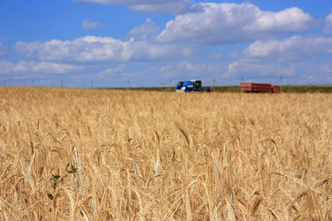 Similar image 1473104