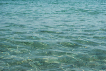 Similar image 1473109