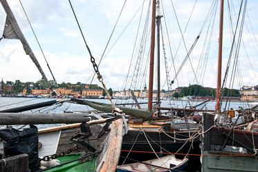 Similar image 1473132