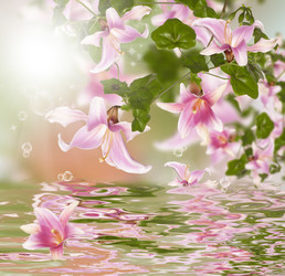 Similar image 1473183