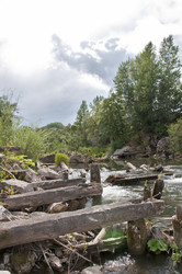 Similar image 1473296