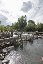 Similar image 1473301