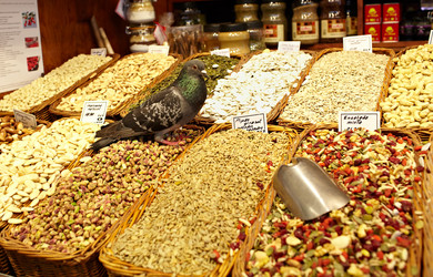 Similar image 1473377