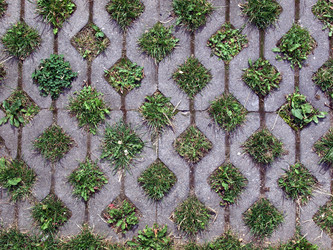 Similar image 1473428