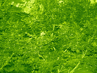 Similar image 1473464