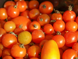 Similar image 1473487