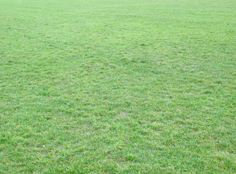 Similar image 1473490