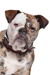 Similar image 1473526