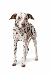 Similar image 1473530