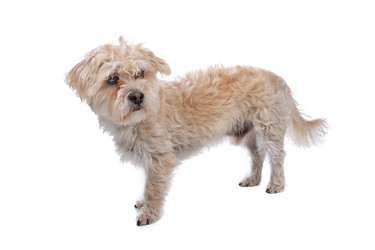 Similar image 1473533