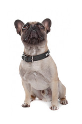 Similar image 1473554