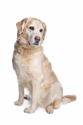 Similar image 1473560