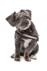 Similar image 1473567