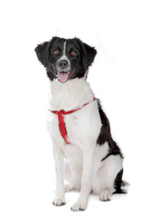 Similar image 1473581