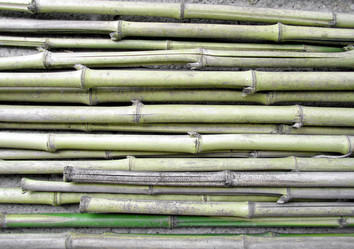 Similar image 1473606