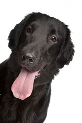 Similar image 1473629