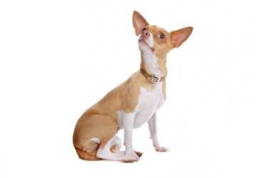 Similar image 1473631