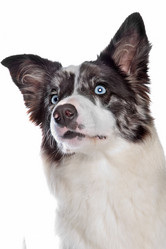 Similar image 1473642