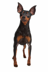 Similar image 1473671