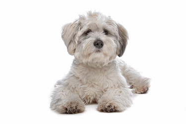 Similar image 1473694