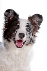 Similar image 1473713