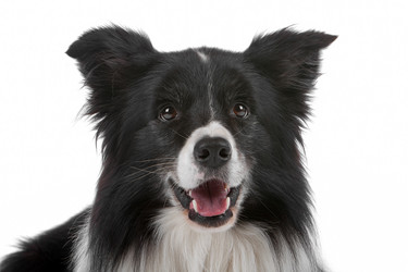 Similar image 1473718