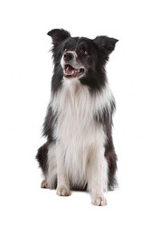 Similar image 1473756