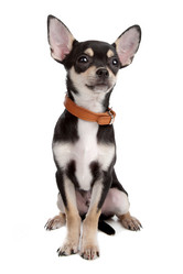 Similar image 1473768