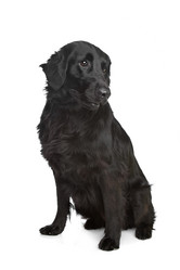 Similar image 1473803