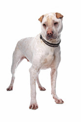 Similar image 1473805