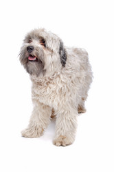 Similar image 1473808