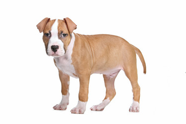 Similar image 1473815