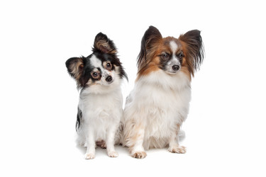 Similar image 1473835