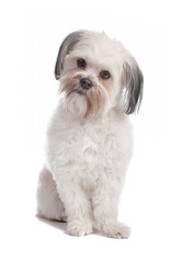 Similar image 1473842