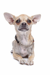 Similar image 1473845