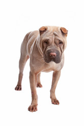 Similar image 1473851