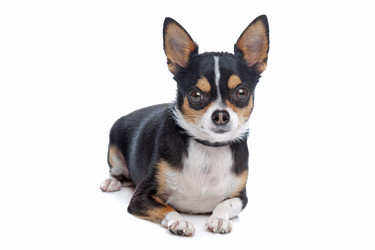 Similar image 1473853