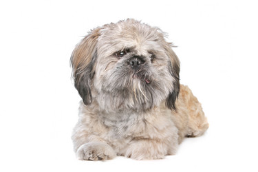 Similar image 1473864