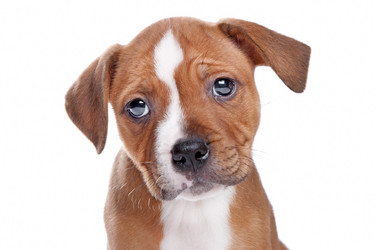 Similar image 1473874