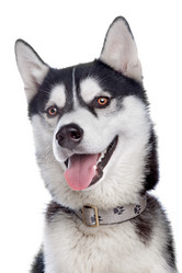 Similar image 1473875