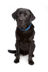 Similar image 1473881