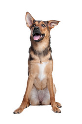 Similar image 1473894