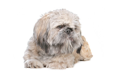 Similar image 1473899