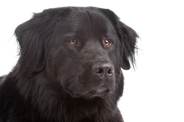 Similar image 1473905