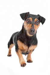 Similar image 1473909