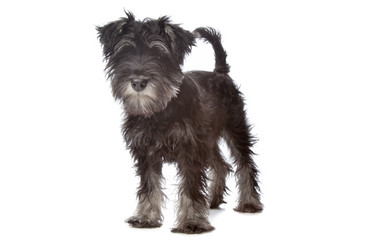 Similar image 1473910