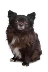 Similar image 1473921