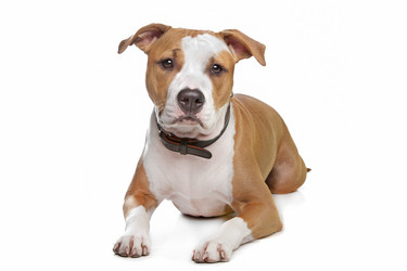 Similar image 1473926