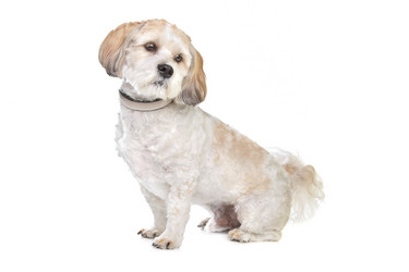 Similar image 1473929