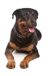 Similar image 1473932